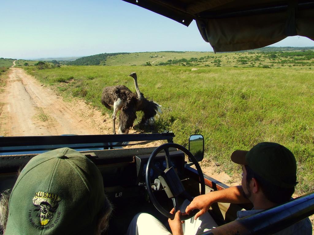 Buccaneers Beach Lodge, Chintsa, South Africa Luaran gambar
